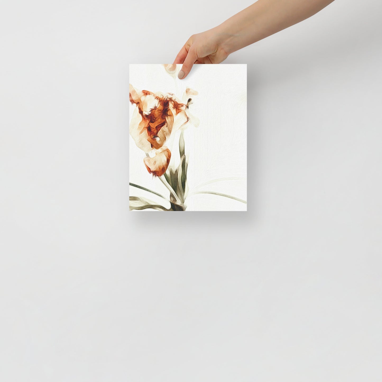 Quietly Falling tulip artwork for gallery wall with tranquil, minimalist decor.