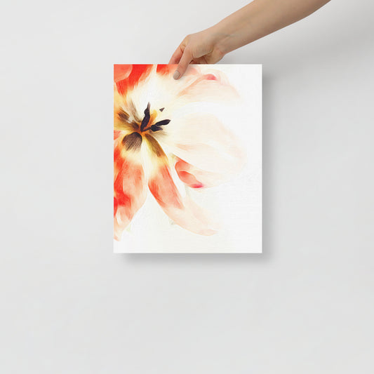 Quiet Surrender tulip art print in minimalist bedroom decor.