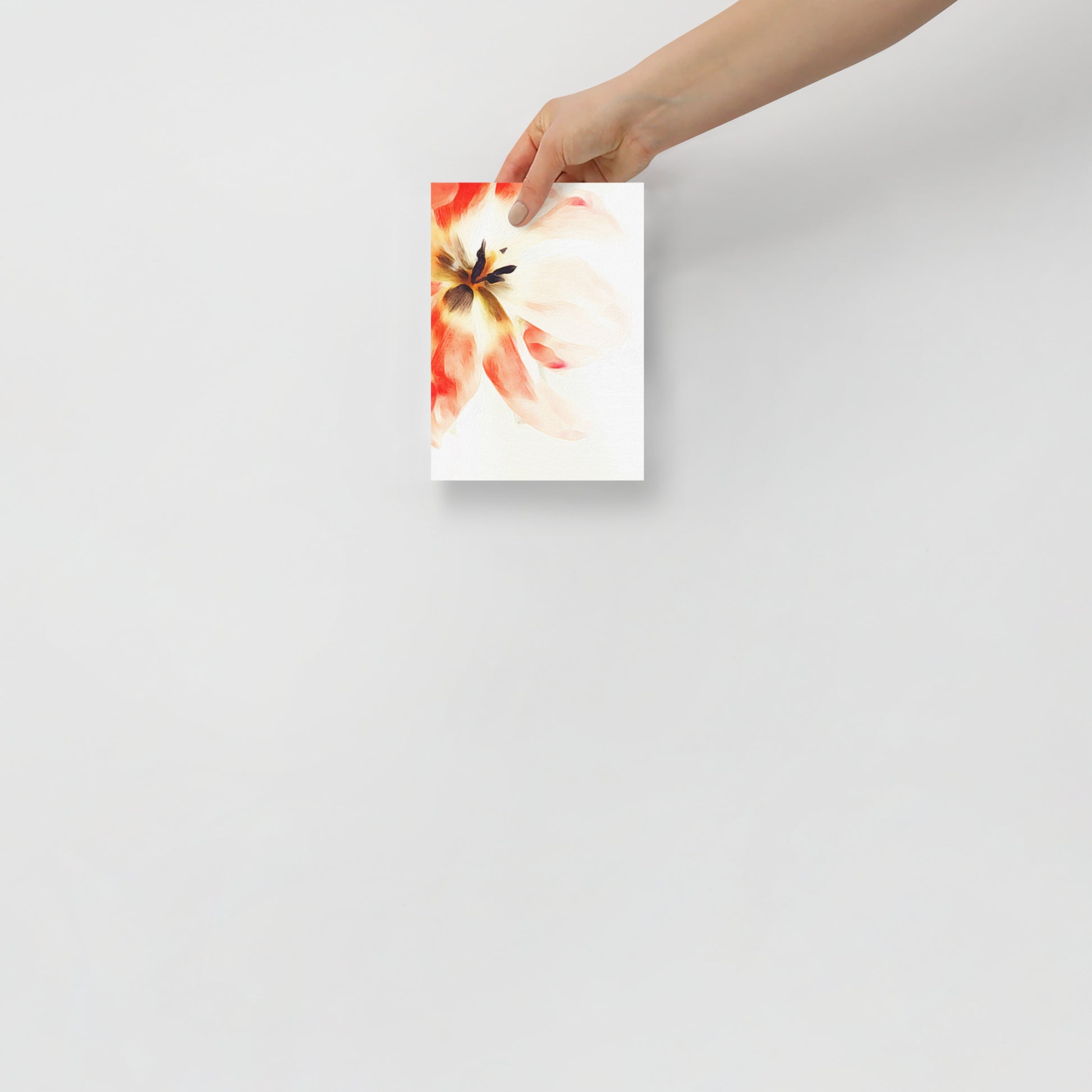 Quiet Surrender tulip art print for home decor.
