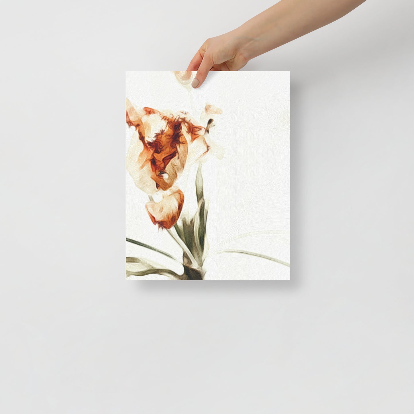 Quietly Falling tulip art print for minimalist living room decor with soft tones.